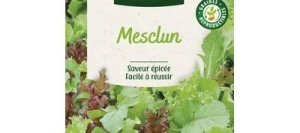 MESCLUN de 7 salades - VILMORIN