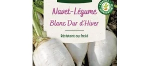 Navet Blanc Dur d'Hiver - VILMORIN