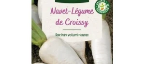 Navet de CROISSY - VILMORIN