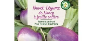 Navet de NANCY à feuille entière - VILMORIN
