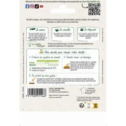 Navet de NANCY à feuille entière - VILMORIN