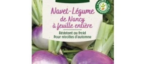 Navet De Nancy à feuille entière - VILMORIN