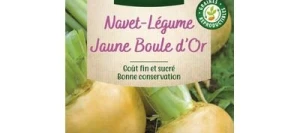 Navet Jaune Boule d'Or - VILMORIN