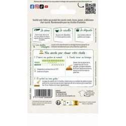 Navet Jaune Boule d'Or - VILMORIN