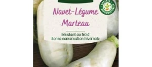 Navet Marteau - VILMORIN