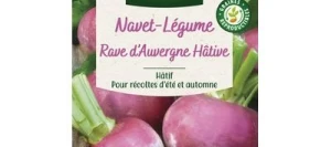 Navet Rave d'Auvergne Hâtive - VILMORIN