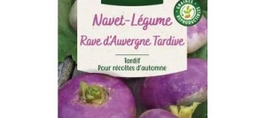 Navet Rave d'Auvergne Tardif à collet rouge - VILMORIN
