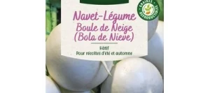Navet Rond Boule de Neige SNOWBALL - VILMORIN