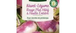 Navet Rouge Plat Hâtif à feuille Entière - VILMORIN