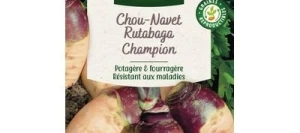 Rutabaga CHAMPION (à collet rouge) - VILMORIN