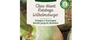 Rutabaga WILHELMSBURGER (à collet vert) - VILMORIN