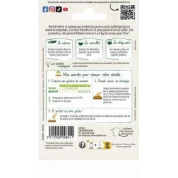 Rutabaga WILHELMSBURGER (à collet vert) - VILMORIN