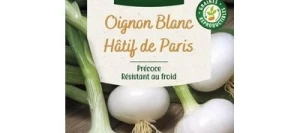 Oignon Blanc Hâtif de PARIS - VILMORIN