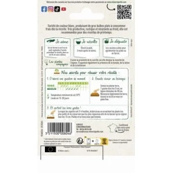 Oignon Blanc Hâtif de PARIS - VILMORIN