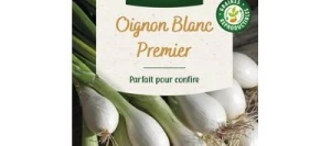 Oignon Blanc PREMIER - VILMORIN