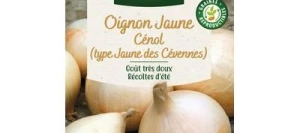 Oignon CÉNOL (type jaune des Cévennes) - VILMORIN
