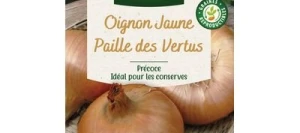 Oignon Jaune PAILLE DES VERTUS - VILMORIN