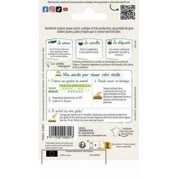 Conditionnement Oignon Jaune PAILLE DES VERTUS - VILMORIN