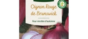 Oignon Rouge de BRUNSWICK - VILMORIN