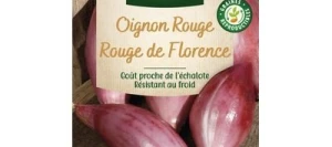 Oignon (Rossa di Firenze) Rouge de Florence - Simiane - VILMORIN