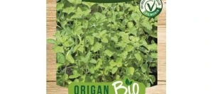 Origan PAULA BIO - VILMORIN
