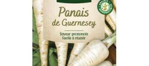 Panais DE GUERNESEY - VILMORIN