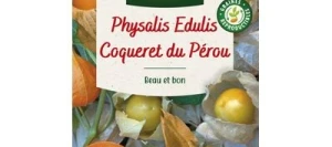 Physalis Edulis COQUERET DU PÉROU - VILMORIN