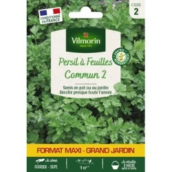 Persil COMMUN 2 - VILMORIN