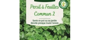 Persil COMMUN 2 - VILMORIN