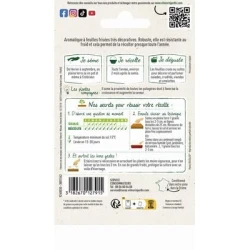 Persil Frisé ALTO - VILMORIN