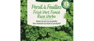 Persil Frisé VERT FONCÉ VERBO - VILMORIN