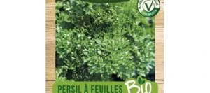 Persil Frisé VERT FONCÉ BIO - VILMORIN
