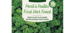 Persil Frisé VERT FONCÉ - VILMORIN