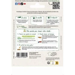 Persil Frisé VERT FONCÉ - VILMORIN