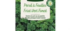 Persil Frisé VERT FONCÉ - VILMORIN