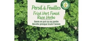 Persil Frisé VERT FONCÉ VERBO - VILMORIN