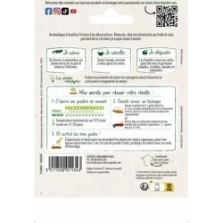 Persil Frisé VERT FONCÉ VERBO - VILMORIN