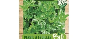 Persil GÉANT D'ITALIE BIO - VILMORIN