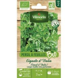 Persil GÉANT D'ITALIE BIO - VILMORIN