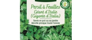 Persil GÉANT D'ITALIE  - VILMORIN