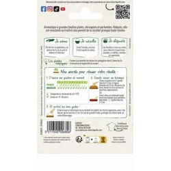 Persil GÉANT D'ITALIE  - VILMORIN