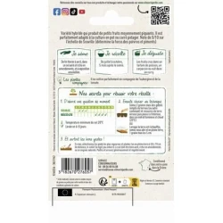 Piment BOMBER - VILMORIN