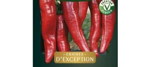 Piment Doux SPADI HF1 - VILMORIN