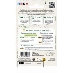 Piment Doux SPADI HF1 - VILMORIN