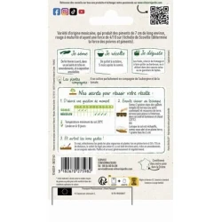 Piment JALAPEÑO - VILMORIN