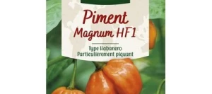 Piment MAGNUM - VILMORIN