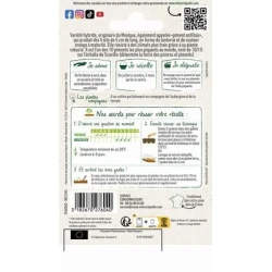 Piment MAGNUM - VILMORIN