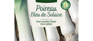 Poireau BLEU de SOLAISE - VILMORIN