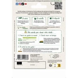 Poireau BLEU de SOLAISE - VILMORIN