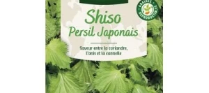 Shiso Vert (Persil Japonais) - VILMORIN